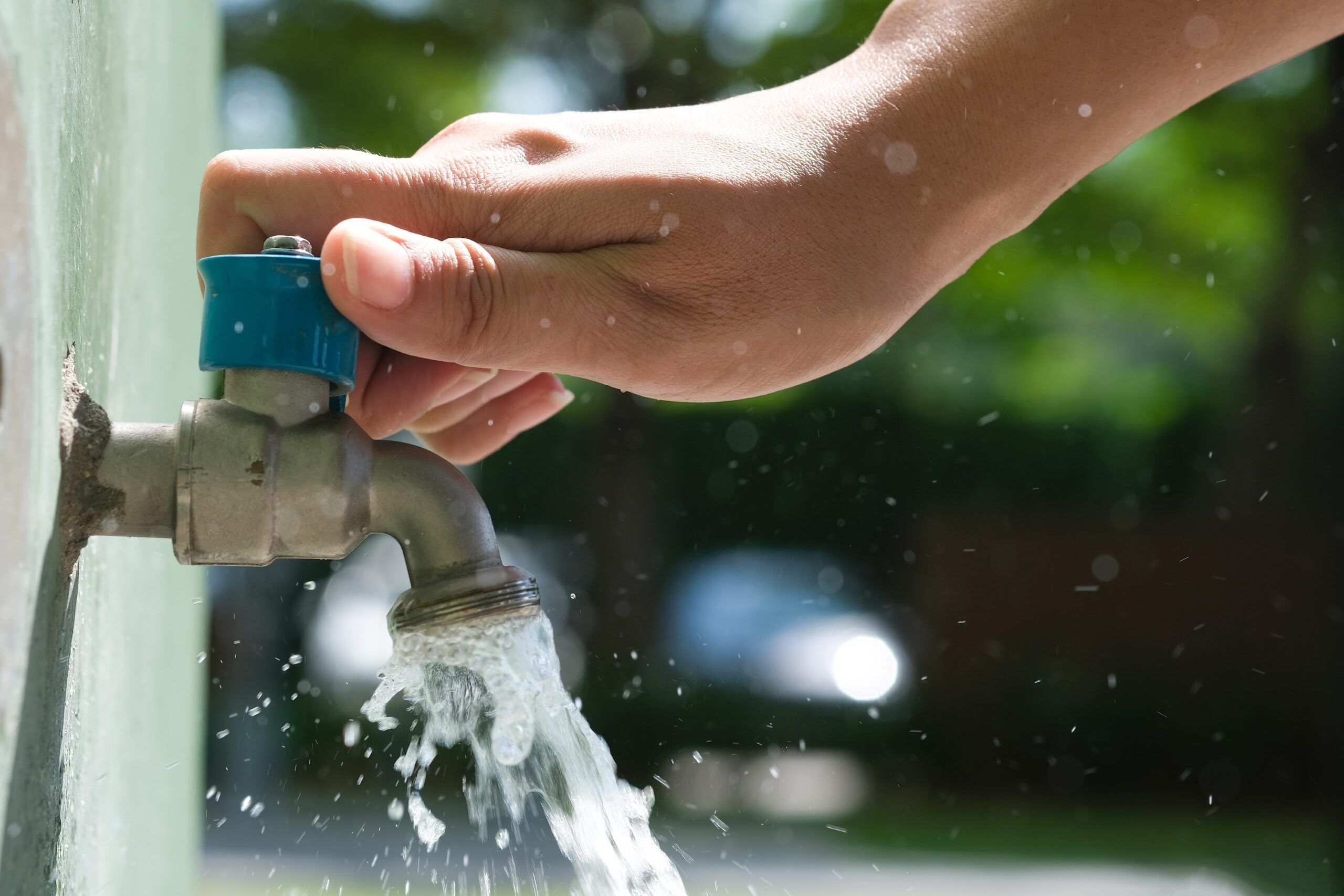 Garage Door Cleaning in Indianapolis, IN